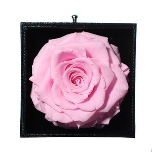 PINK Preserved Real Rose - Perfect for Gifts - Will Last From 3-5 Years